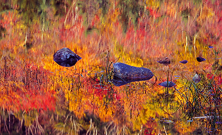  Beaver Pond Reflection in Fall, NH